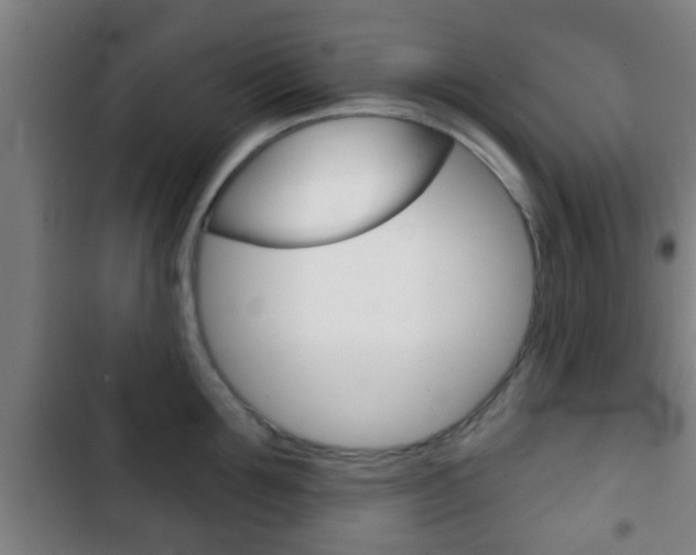 X0000103220907200808280923