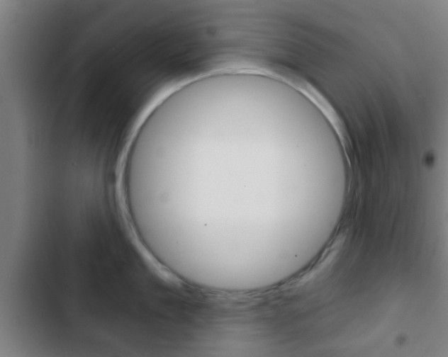 X0000103220909200808280923