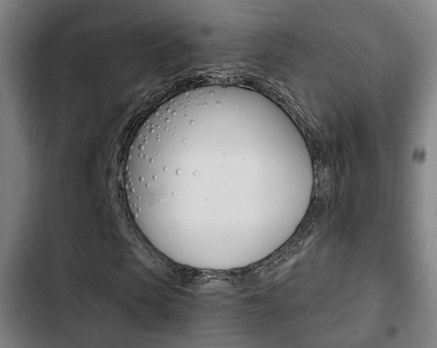 X0000103220913200808280922