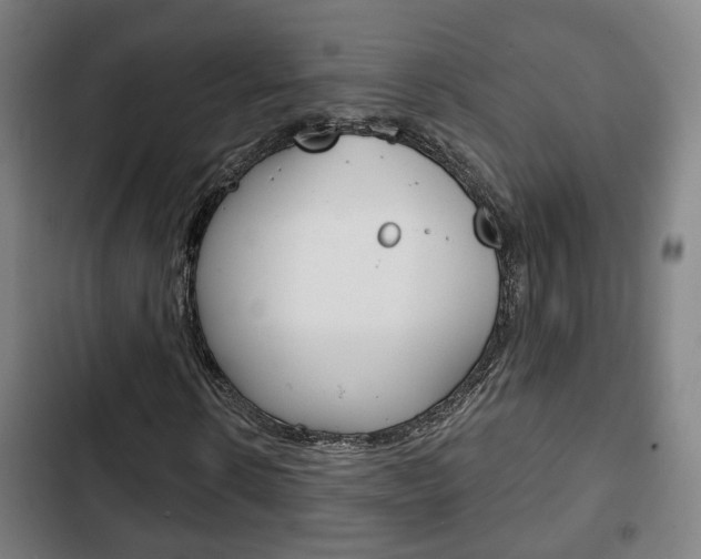 X0000103220914200808280922