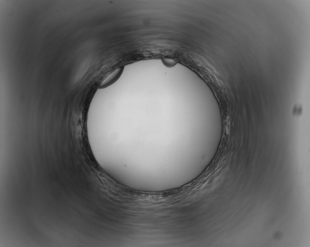 X0000103220915200808280922