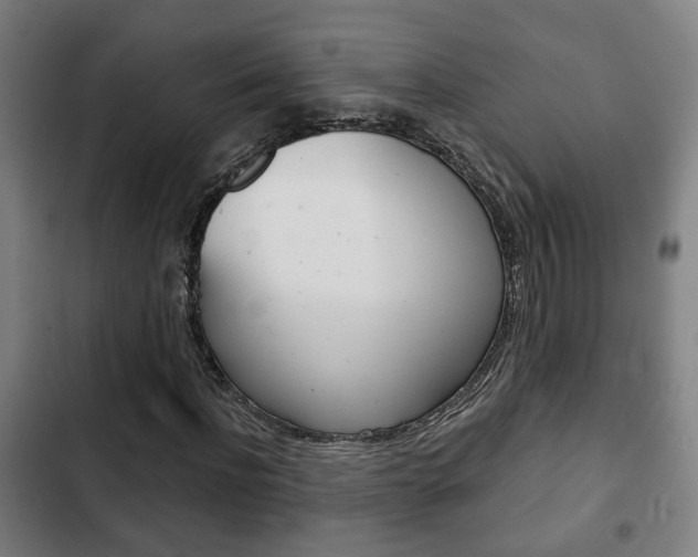 X0000103220916200808280922