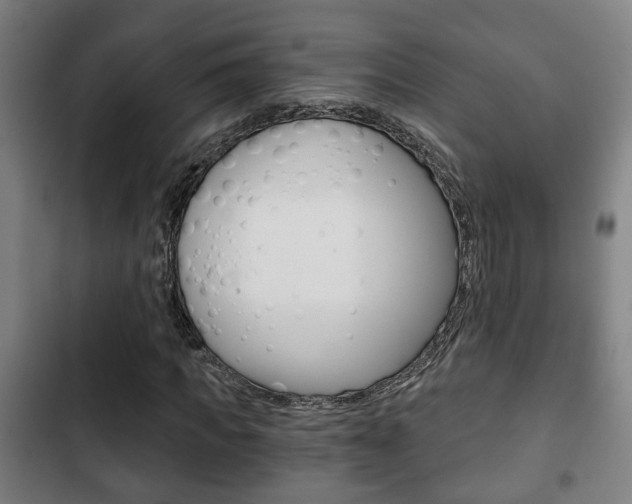 X0000103220917200808280922