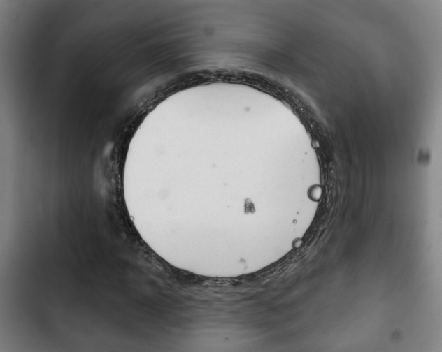X0000103220918200808280922
