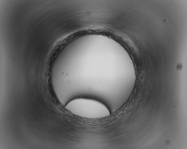 X0000103220920200808280922