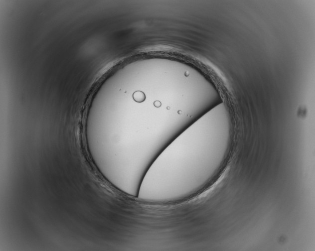 X0000103220921200808280922