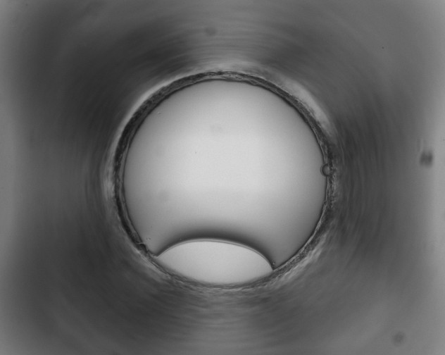 X0000103220924200808280922