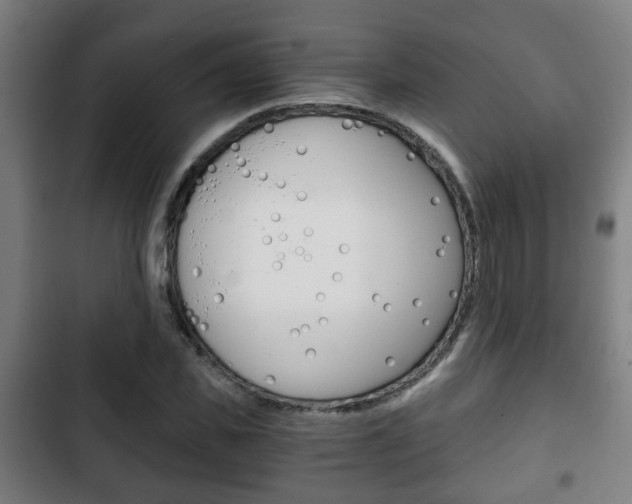 X0000103220925200808280922