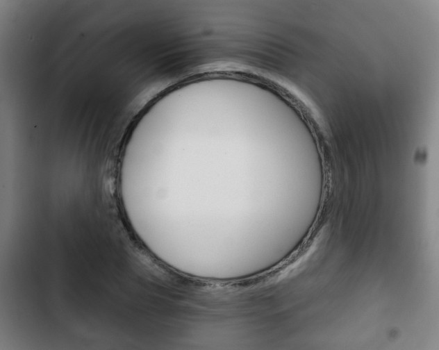 X0000103220929200808280922