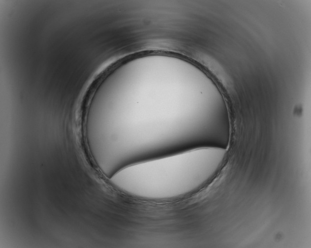 X0000103220931200808280922