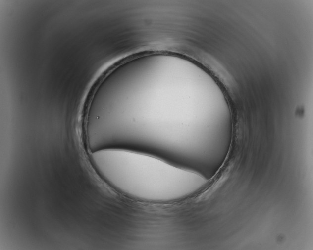 X0000103220932200808280922