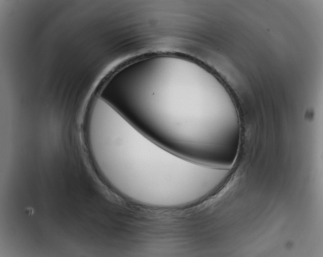 X0000103220934200808280922