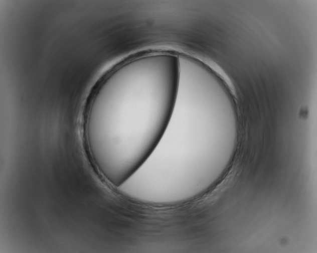 X0000103220935200808280922