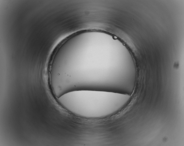 X0000103220936200808280922
