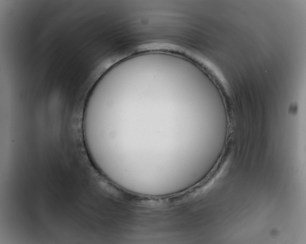 X0000103220937200808280922