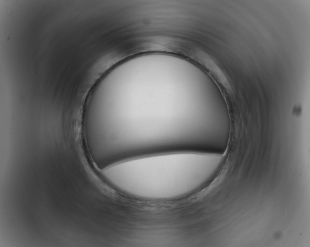 X0000103220938200808280922