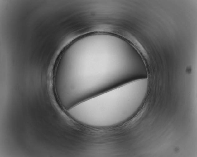 X0000103220939200808280922