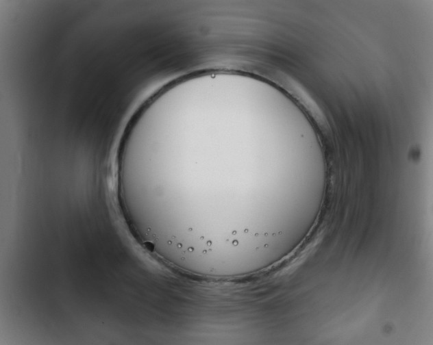 X0000103220940200808280922