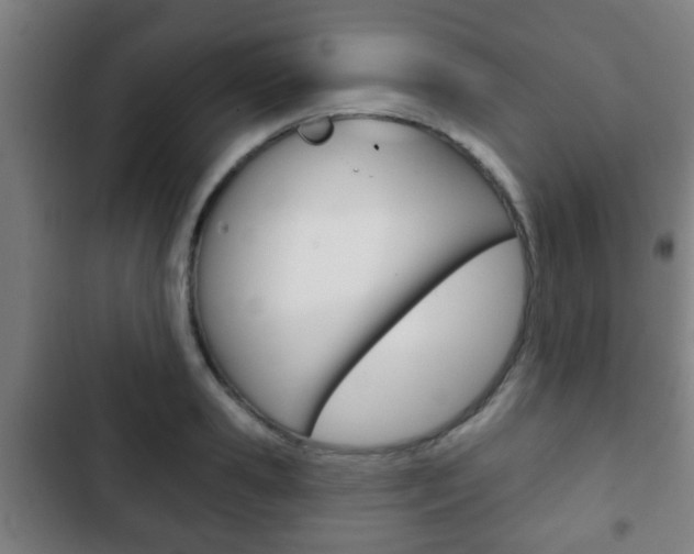 X0000103220941200808280922