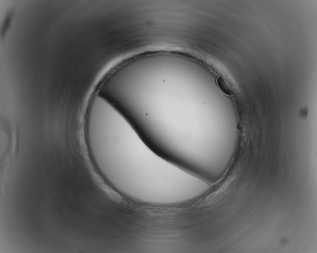 X0000103220942200808280922