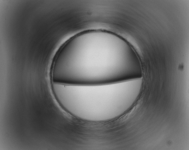 X0000103220943200808280922