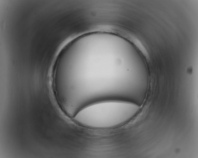 X0000103220944200808280923