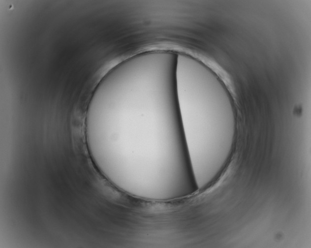 X0000103220945200808280923