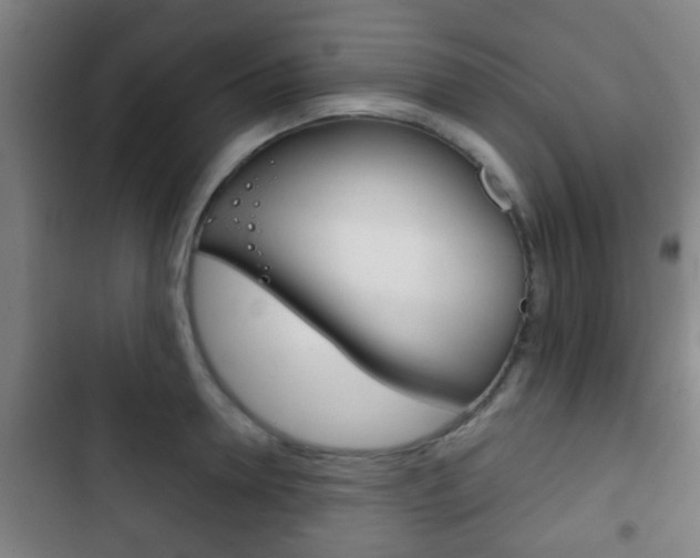X0000103220946200808280923