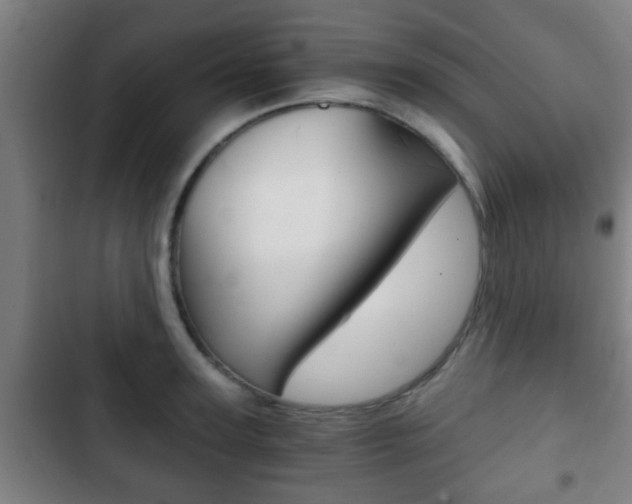 X0000103220947200808280923