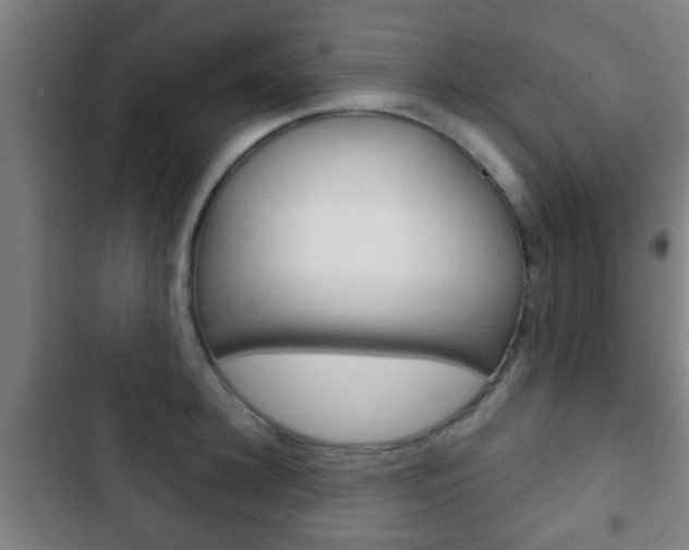 X0000103220948200808280923