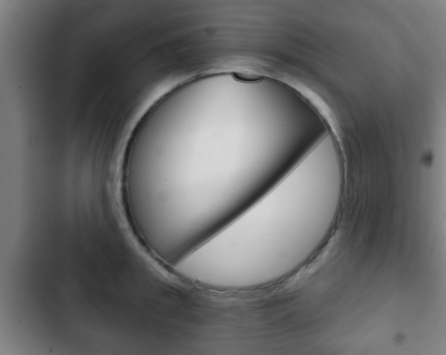 X0000103220949200808280923