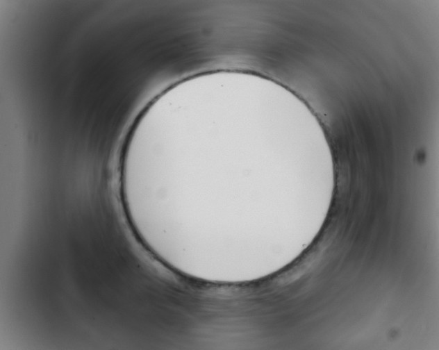 X0000103220950200808280923