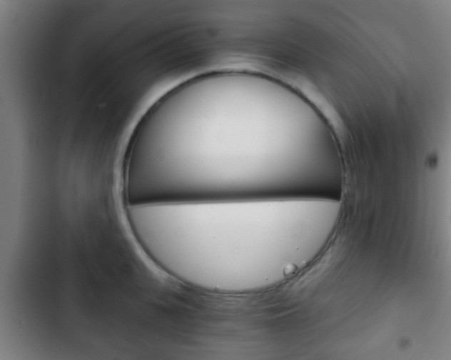 X0000103220951200808280923