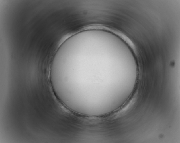 X0000103220953200808280923