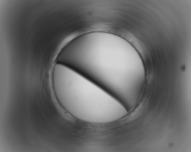 X0000103220954200808280923