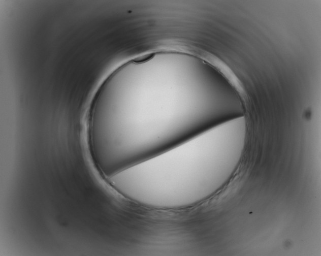 X0000103220955200808280923