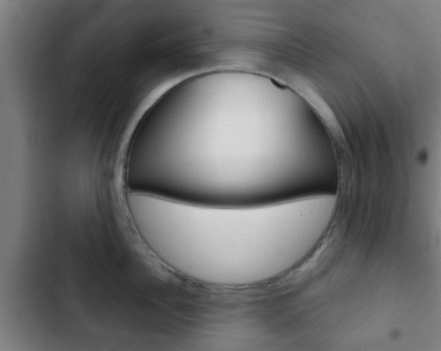 X0000103220956200808280923