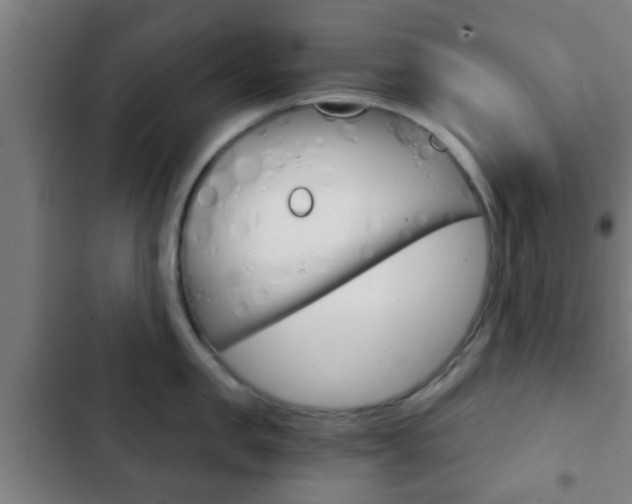 X0000103220957200808280923