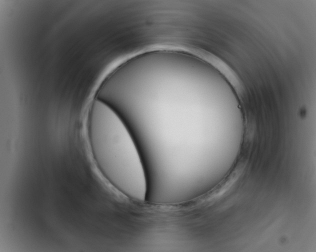 X0000103220958200808280923