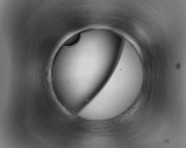 X0000103220959200808280923