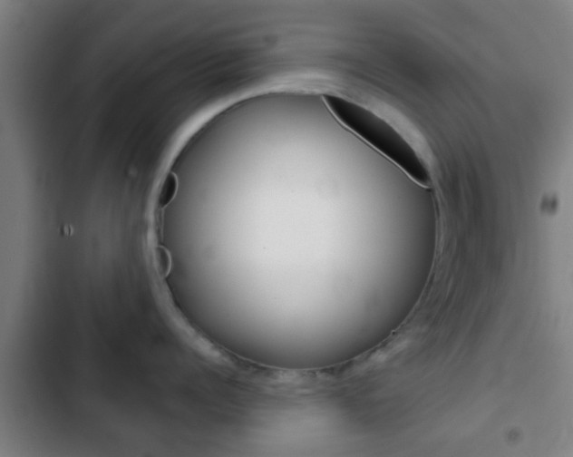 X0000103220960200808280923