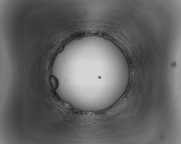 X0000103220961200808280922