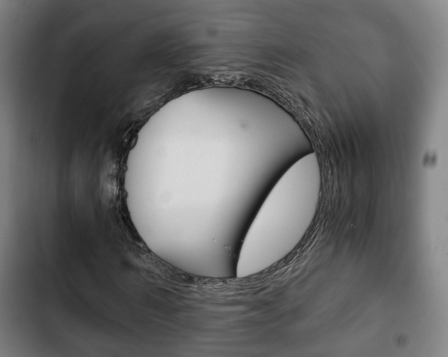 X0000103220962200808280922