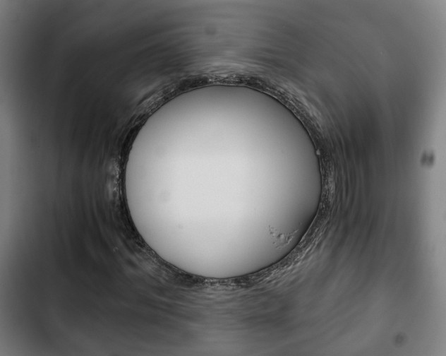 X0000103220964200808280922