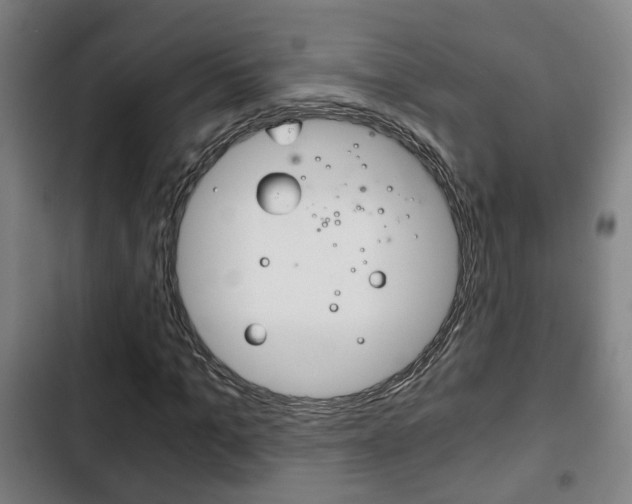 X0000103220965200808280922