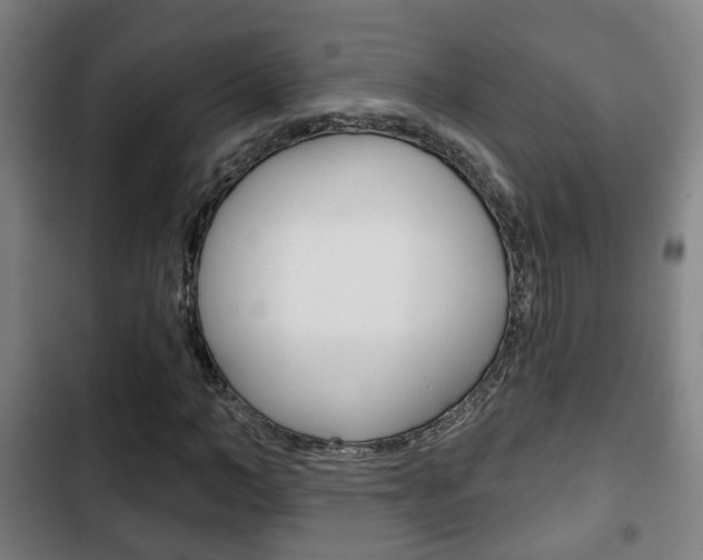 X0000103220966200808280922