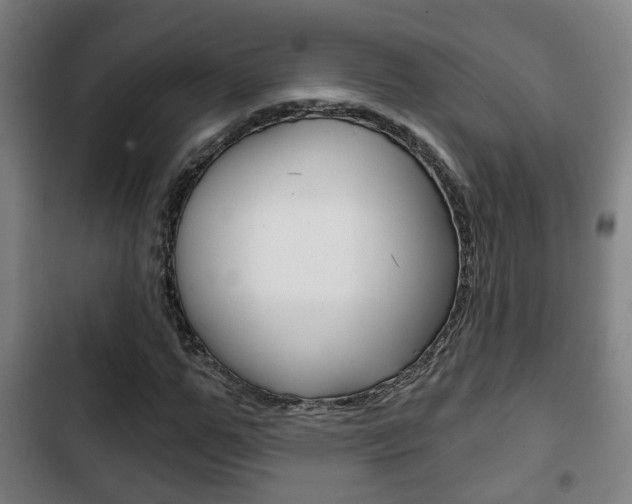 X0000103220967200808280922