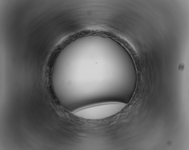 X0000103220968200808280922