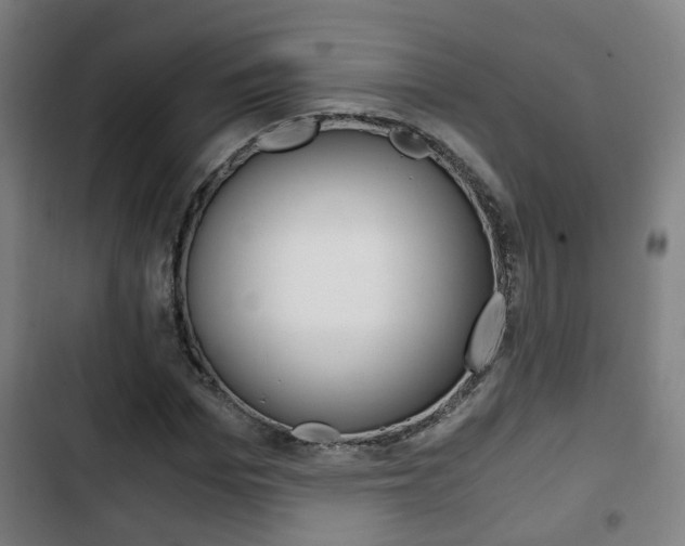 X0000103220969200808280922