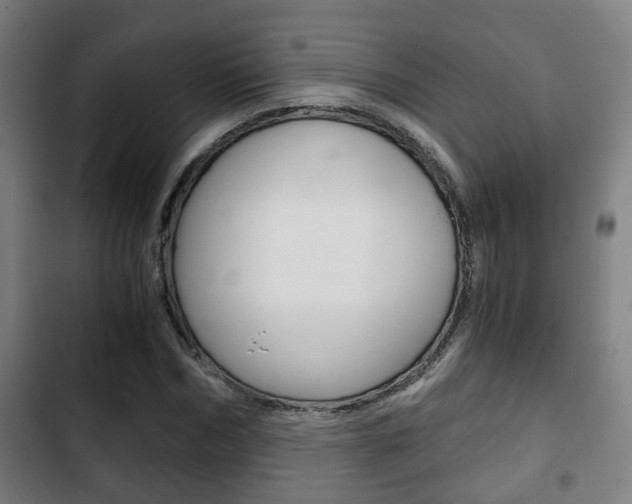 X0000103220970200808280922